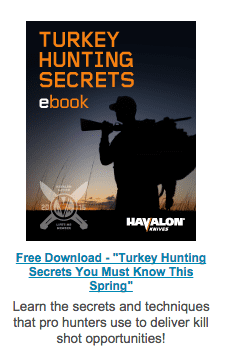 turkey-hunting-tips